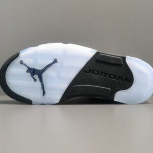 2021 Air Jordan 5 Retro ＂Moonlight＂