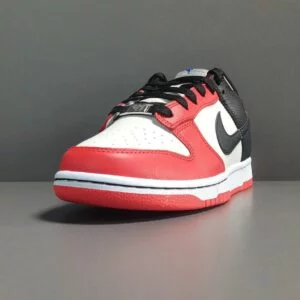 NBA X NIKE DUNK Low EMB ＂75th Anniversary＂ (5)