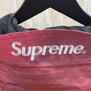 Supreme SS20 Week 13 × The North Face (3)