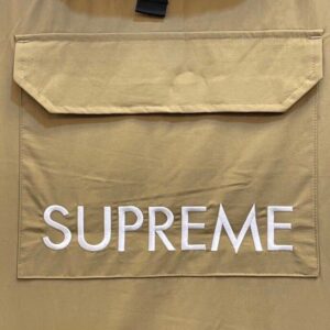 Supreme SS20 Week 13 × The North Face (6)