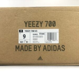 YEEZY 700 V3 “Safflower” (16)