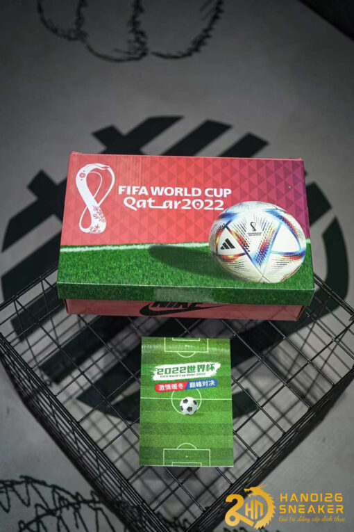 Nike Dunk Low Fifa World Cup Qatar 2022   Mẫu Giày Cực đỉnh Cho Ai đam Mê Bóng đá (3)