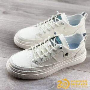 Bộ Sưu Tập Giày Gucci New Best S Low (4)