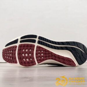 Giày Nike Air Zoom Pegasus 39 Rattan Brown (6)