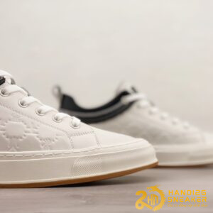 Bộ Sưu Tập Giày ECCO SKATE Low Cao Cấp (4)