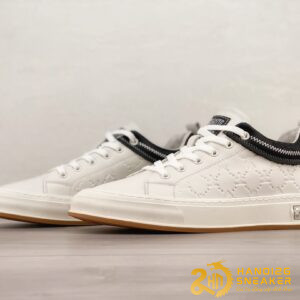 Bộ Sưu Tập Giày ECCO SKATE Low Cao Cấp (7)