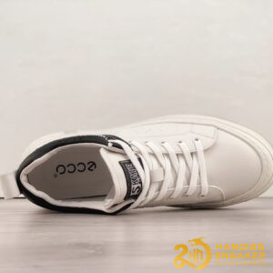 Bộ Sưu Tập Giày ECCO SKATE Low Cao Cấp (9)