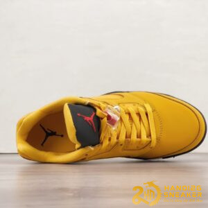Giày Nike Air Jordan 5 Low Chutney DA8016 700 (2)