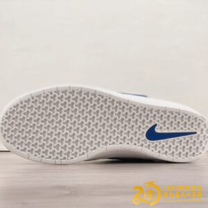 Giày Nike SB Force 58 Phantom Blue Jay (8)