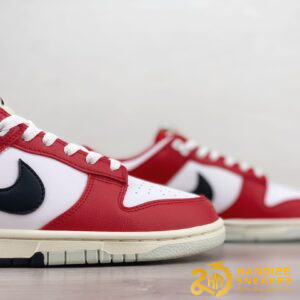 Giày Nike Dunk Low Chicago Split DZ2536 600 (8)