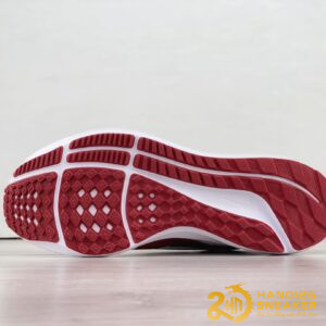Giày Nike Zoom Pegasus 40 Bowerman Track Club (2)