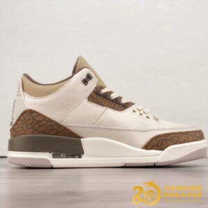 Giày Air Jordan 3 Retro Palomino CT8532 102 (2)