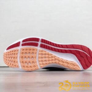 Giày Nike Air Zoom Pegasus 39 Extra Wide (2)