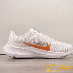 Giày Nike Pegasus 40 Premum White Multi Color (2)