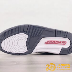 Giày Nike Jordan 3 Retro Cool Grey 2021 (6)