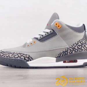 Giày Nike Jordan 3 Retro Cool Grey 2021
