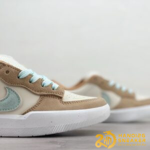 Giày Nike SB Force 58 Have A Nike Day (7)