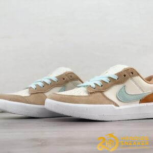 Giày Nike SB Force 58 Have A Nike Day (8)