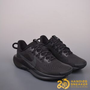 Giày Nike Pegasus Trail 5 Black Anthracite DV3864 002 (1)