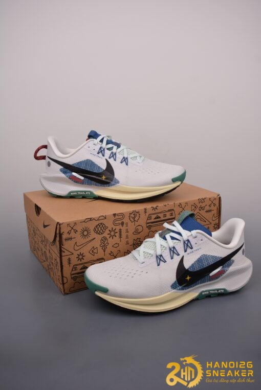 Giày Nike Pegasus Trail 5 Court Blue Cedar