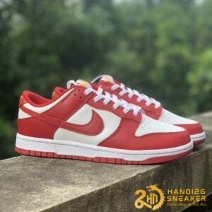 Hộp Giày Mù Dunk Low Nike Christmas 2024 (26)