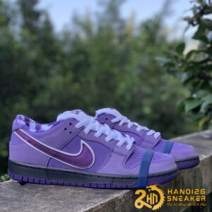 Hộp Giày Mù Dunk Low Nike Christmas 2024 (32)