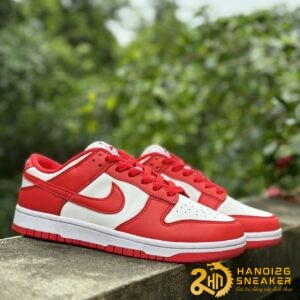 Hộp Giày Mù Dunk Low Nike Christmas 2024 (46)