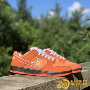 Hộp Giày Mù Dunk Low Nike Christmas 2024 (65)