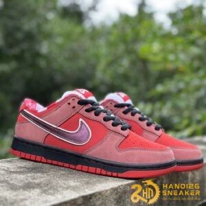 Hộp Giày Mù Dunk Low Nike Christmas 2024 (98)