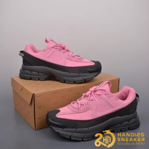 Giày Nike Air Zoom Vomero 5 Roam Elemental Pink Anthracite (1)