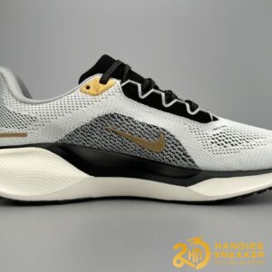 Giày Nike Air Zoom Pegasus 41 Grey Metallic Gold HQ3220 100 (1)