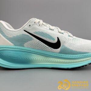 Giày Nike Vomero 18 Dusty Cactus Geode Teal HM6803 103 (1)